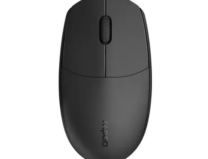 Rapoo N100 Wired Optical Mouse -Black